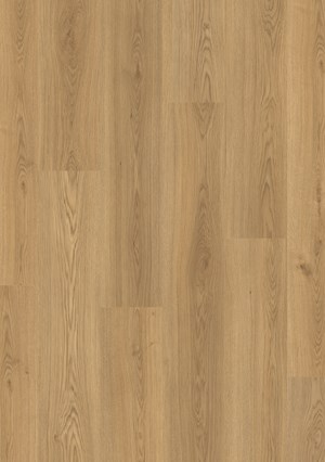 LOC Floor 8