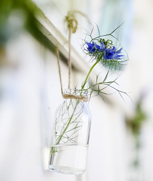 Glasflaska med blommor i